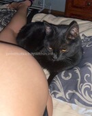 Анкета проститутки Сабина - метро Ломоносовский, возраст - 24